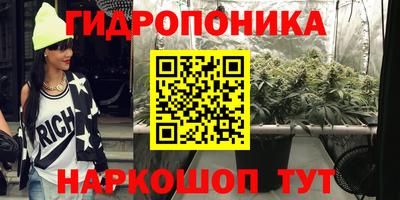 ГАЛЛЮЦИНОГЕННЫЕ ГРИБЫ Можга