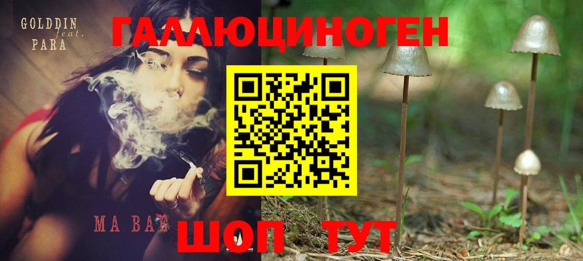 Свободный  Псилоцибиновые грибы прущие грибы  Вход с VPN 